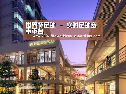 案例展示一(图1)