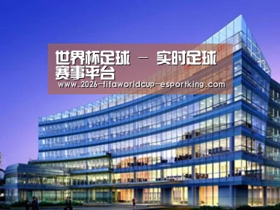 案例展示五