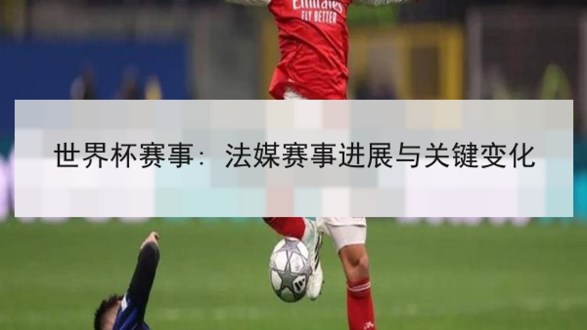 世界杯赛事: 法媒赛事进展与关键变化