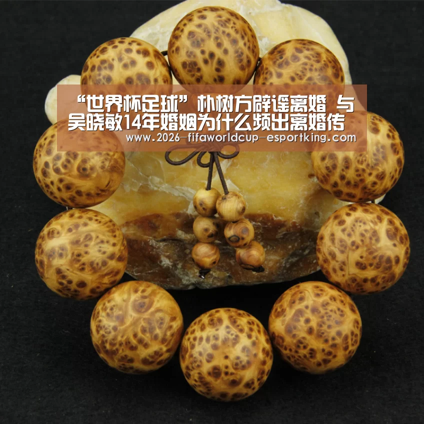 世界杯高清直播