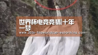 世界杯足球