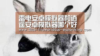 世界杯高清直播